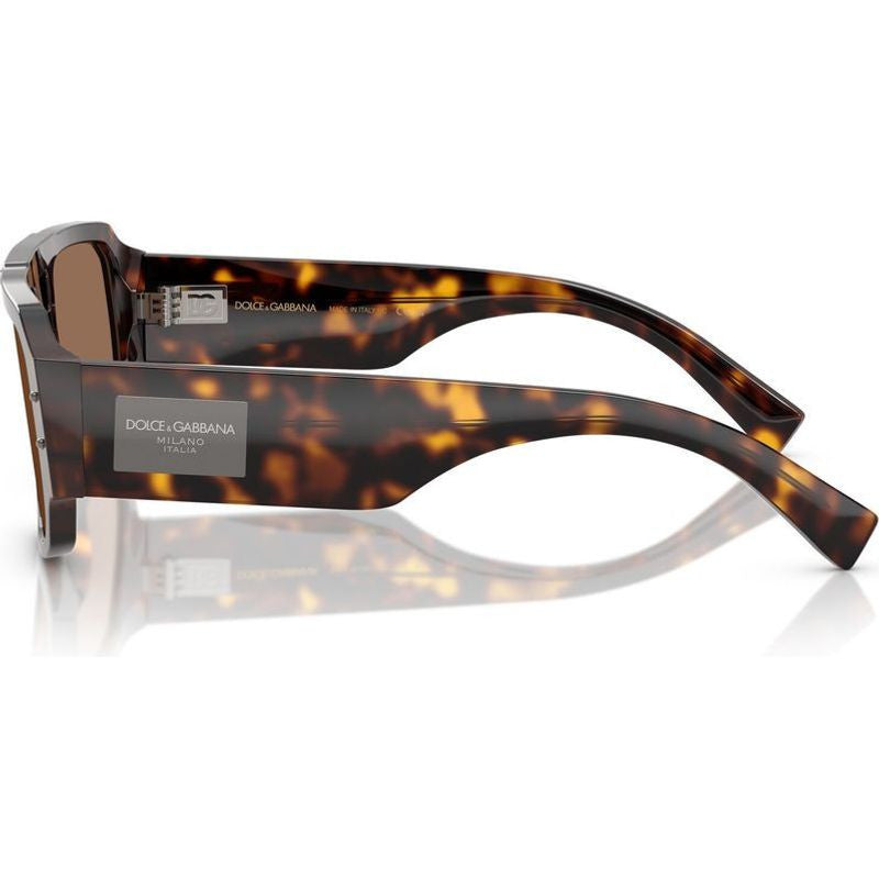 DG4482, Havana/Dark Brown Lenses