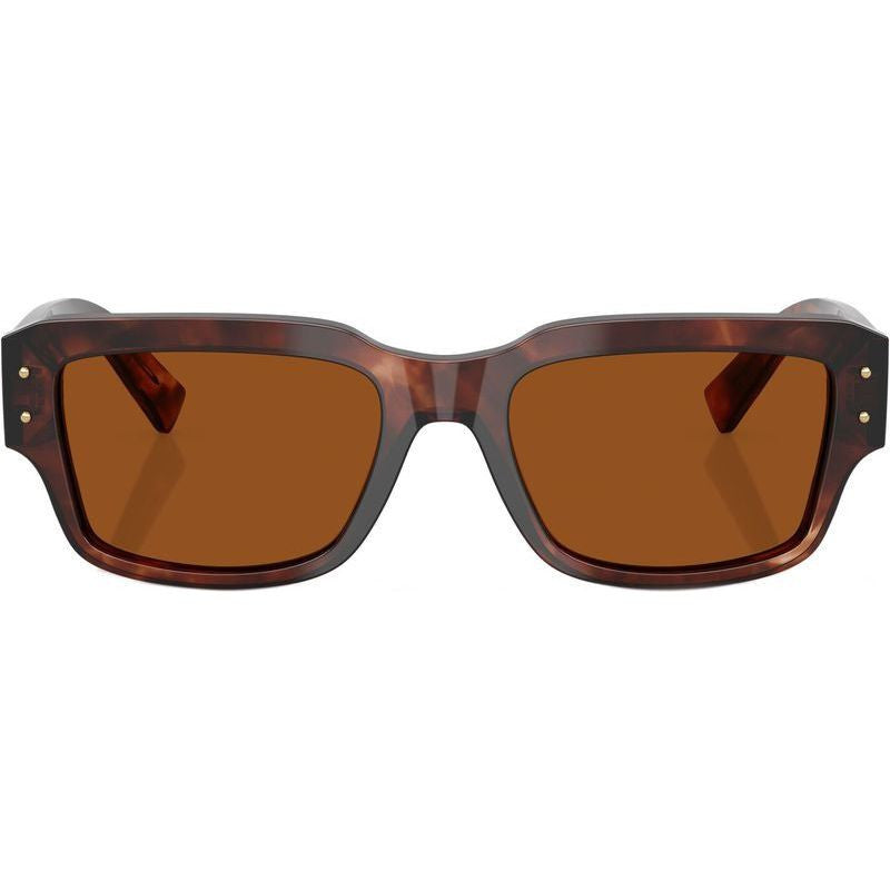 DG4483, Dark Red Havana/Dark Brown Lenses