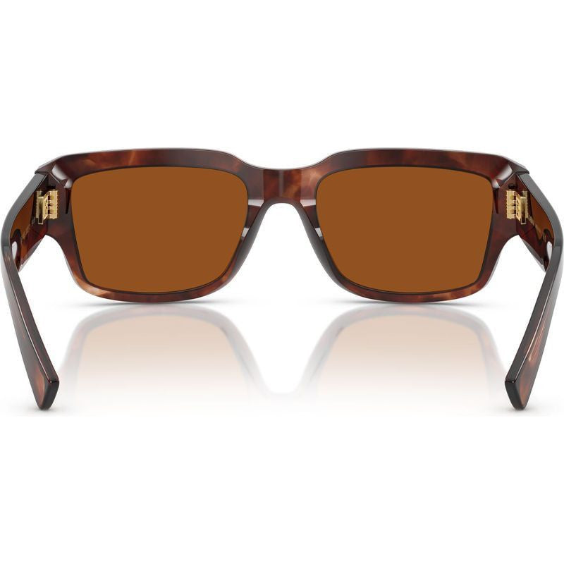 DG4483, Dark Red Havana/Dark Brown Lenses