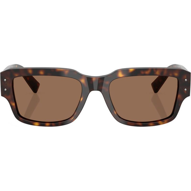 DG4483, Havana/Dark Brown Lenses