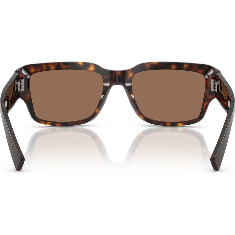 DG4483, Havana/Dark Brown Lenses