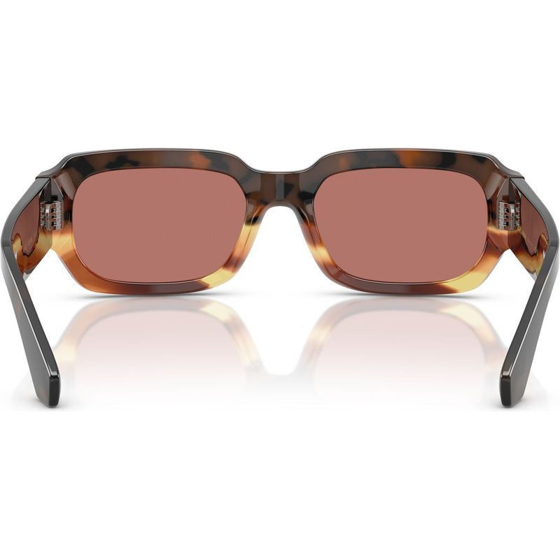 DG4485, Havana Warm Brown/Bordeaux Lenses