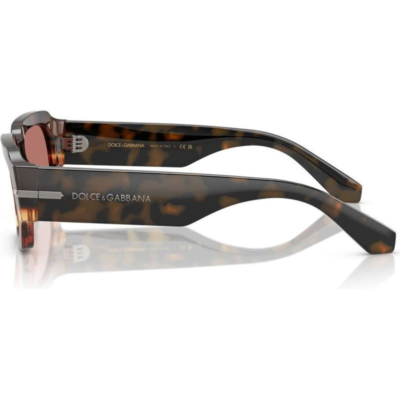 DG4485, Havana Warm Brown/Bordeaux Lenses