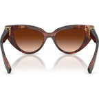 DG4497, Dark Red Havana/Brown Gradient Lenses
