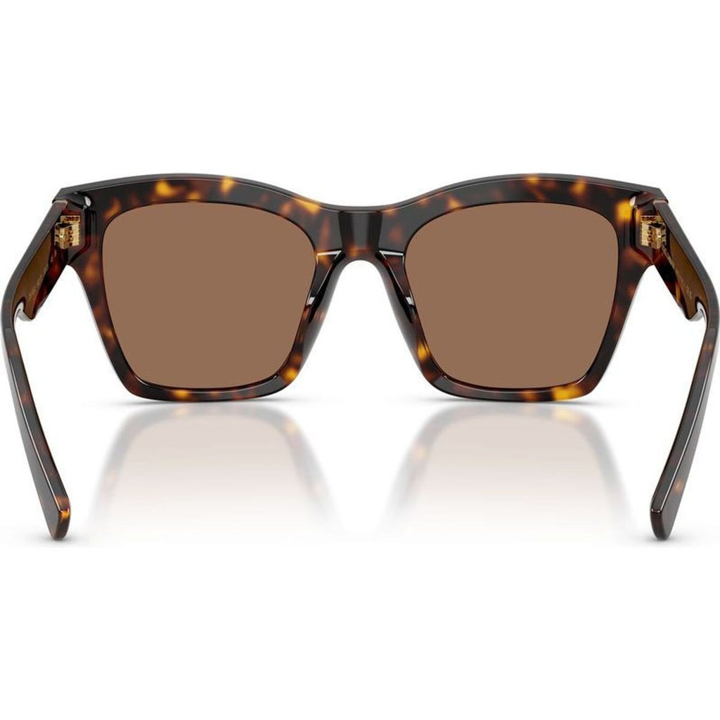 DG4512, Havana/Dark Brown Lenses