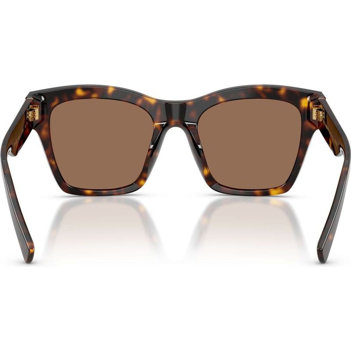 DG4512, Havana/Dark Brown Lenses