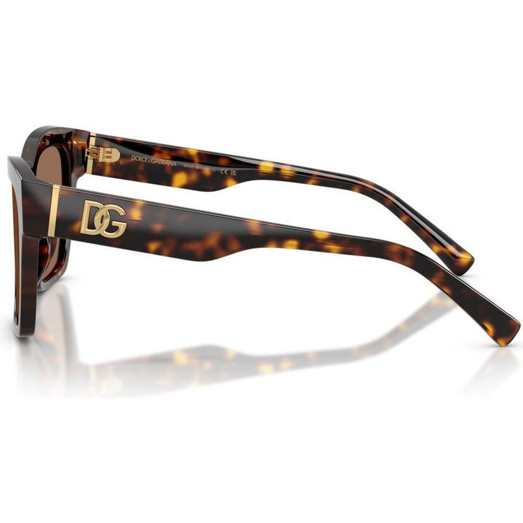 DG4512, Havana/Dark Brown Lenses
