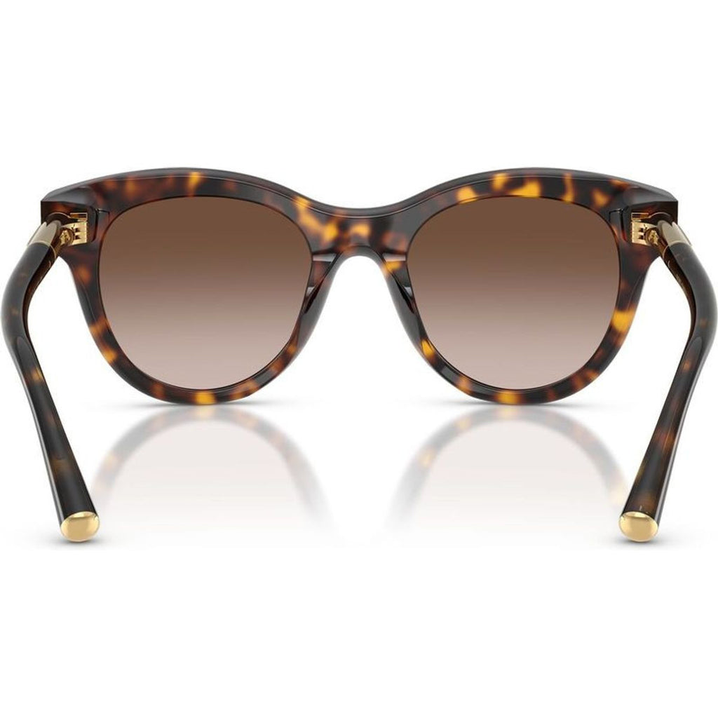 DG4518, Havana/Brown Gradient Lenses