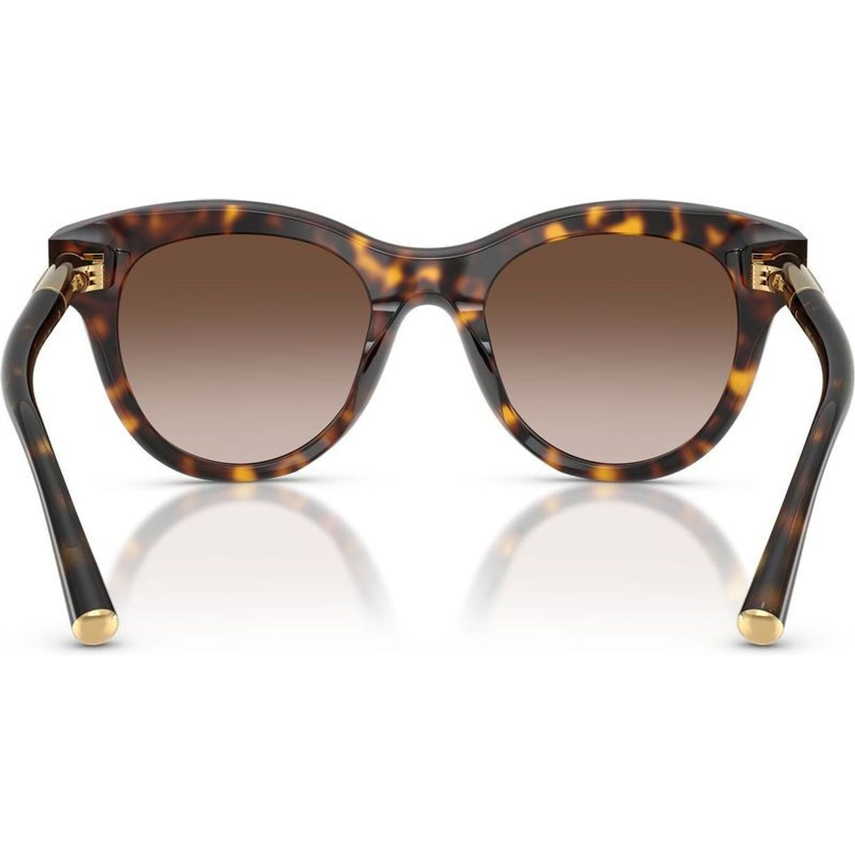 DG4518, Havana/Brown Gradient Lenses
