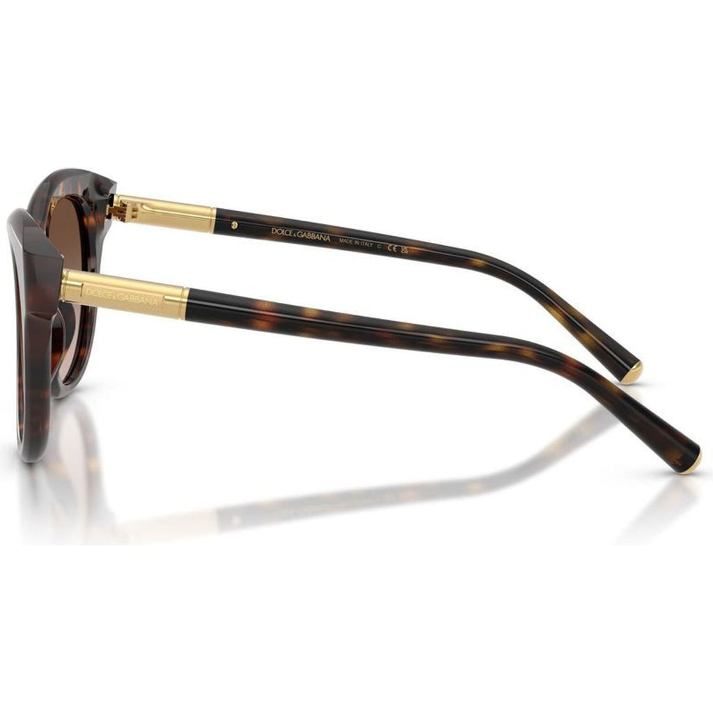DG4518, Havana/Brown Gradient Lenses