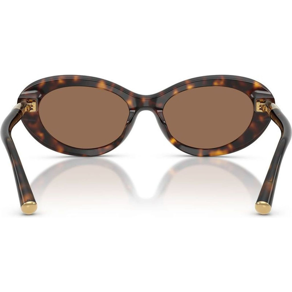 DG4519, Havana/Dark Brown Lenses