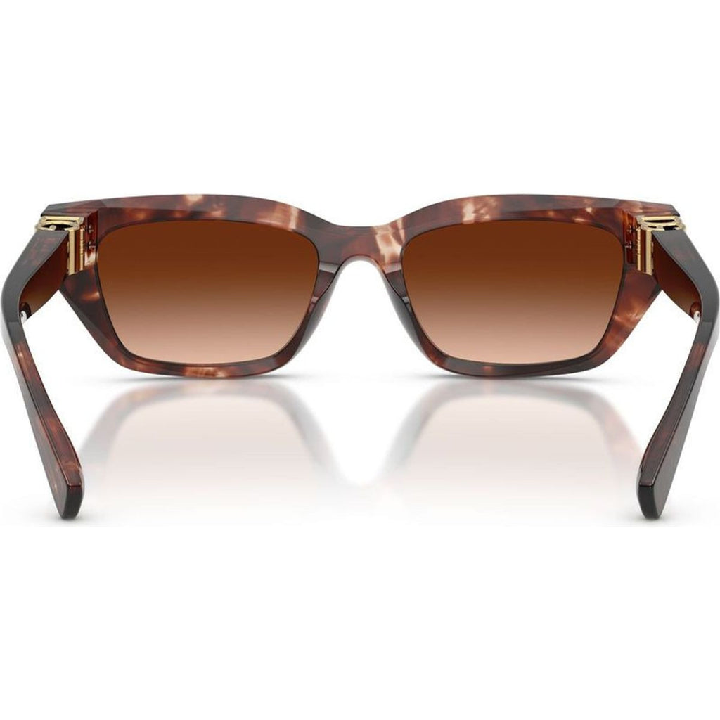 DG4532, Dark Red Havana/Brown Gradient Lenses