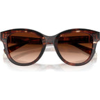 DG4533, Dark Red Havana/Brown Gradient Lenses