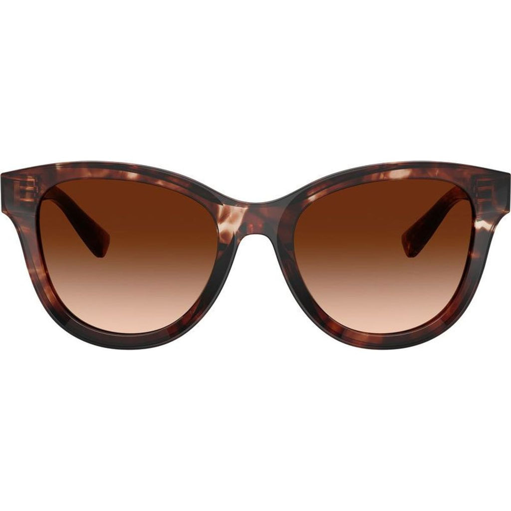 DG4533, Dark Red Havana/Brown Gradient Lenses