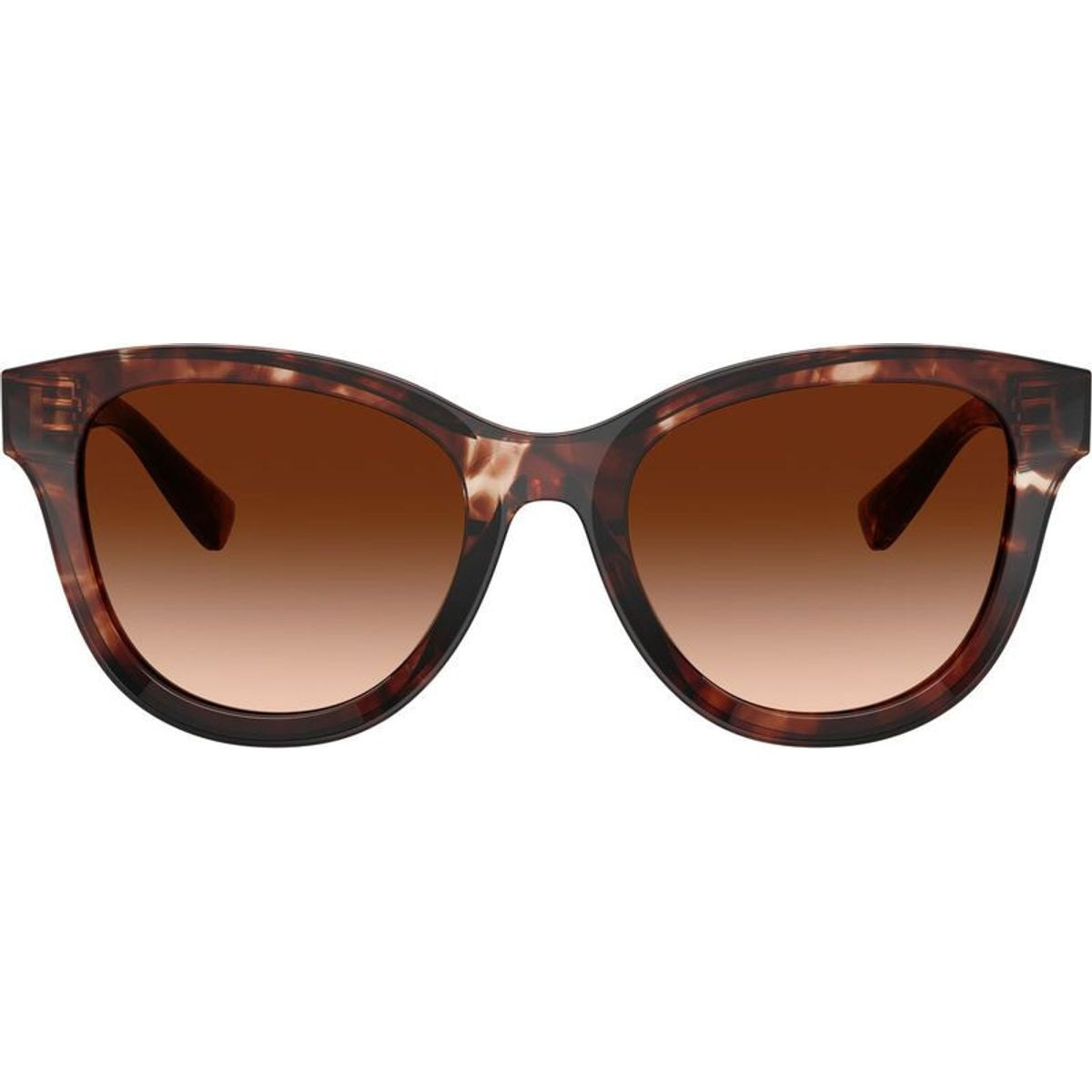 DG4533, Dark Red Havana/Brown Gradient Lenses