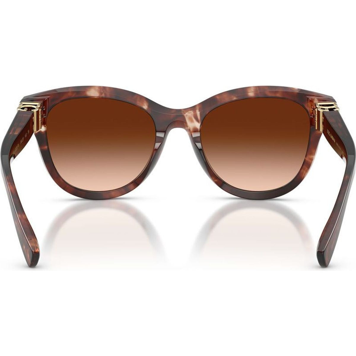 DG4533, Dark Red Havana/Brown Gradient Lenses