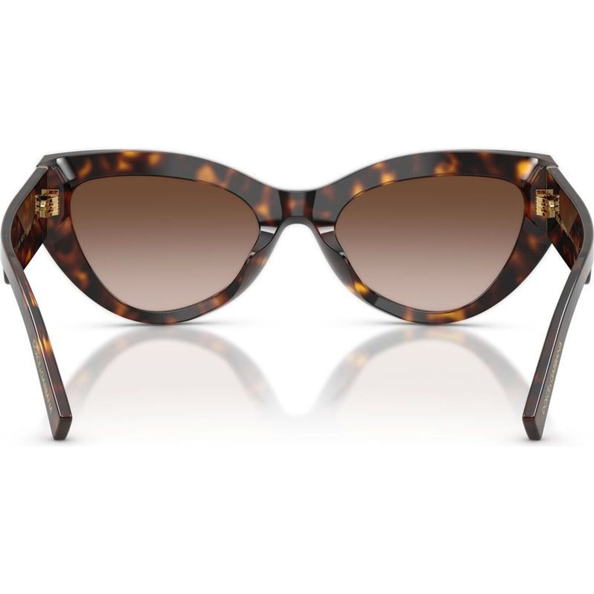 DG4536, Havana/Brown Gradient Lenses