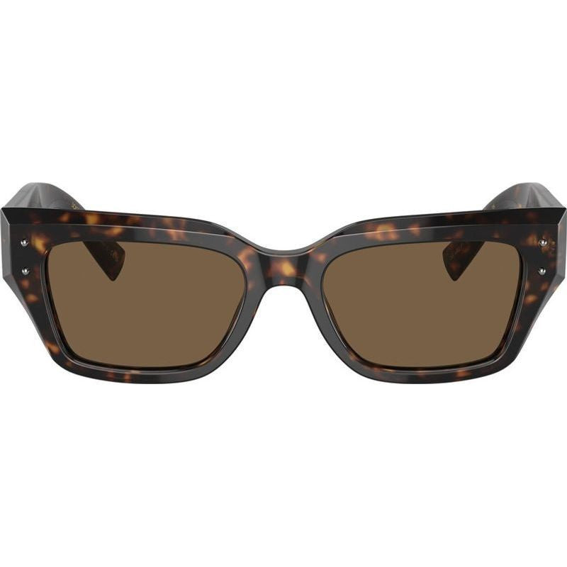 DG4462, Havana/Dark Brown Lenses