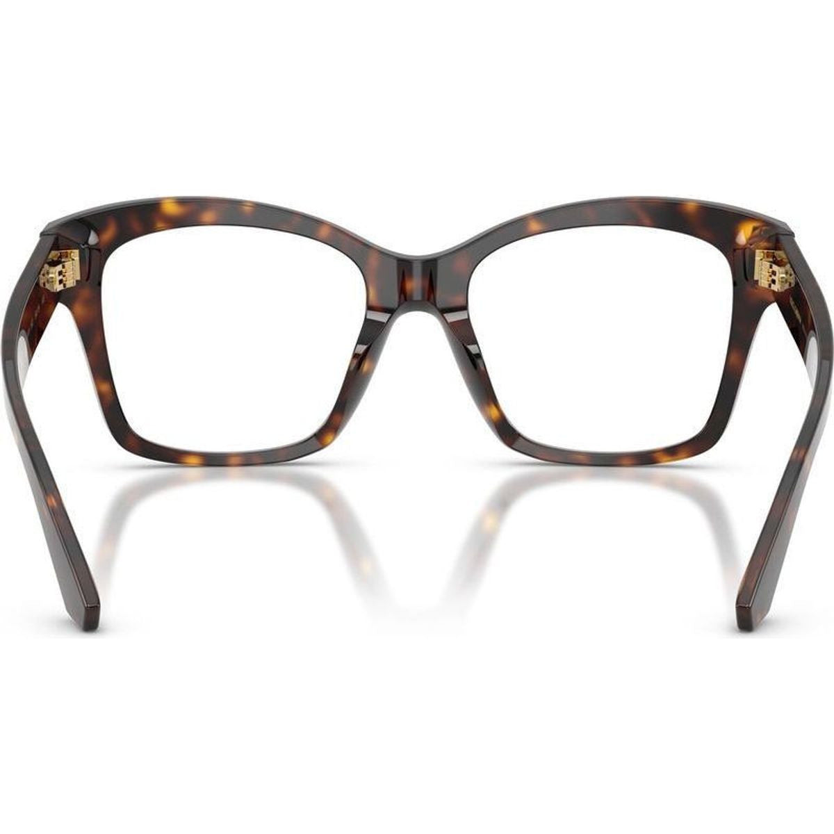 DG3419, Havana/Clear Lenses 54 Eye Size
