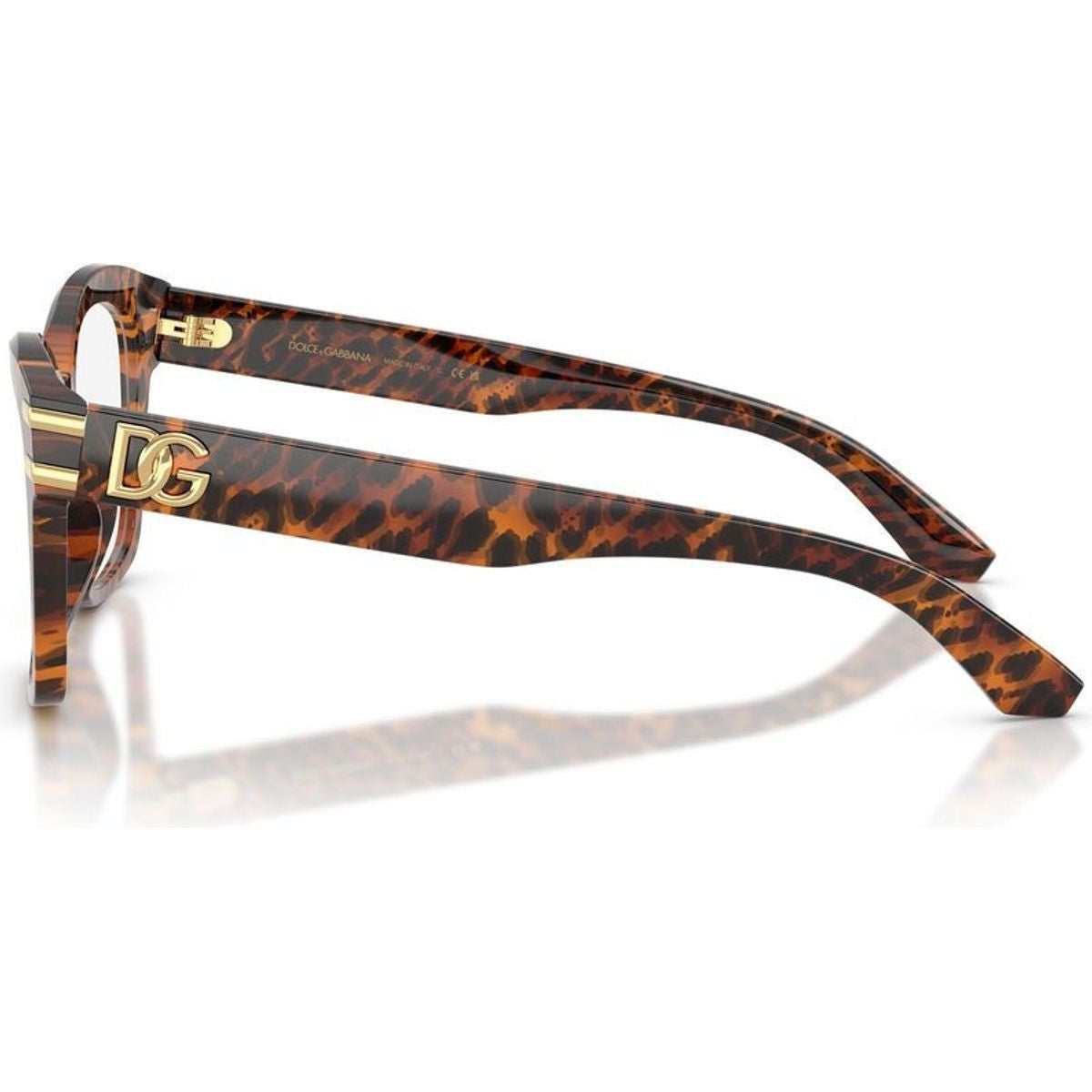 DG3419, Transparent Leo/Clear Lenses 54 Eye Size