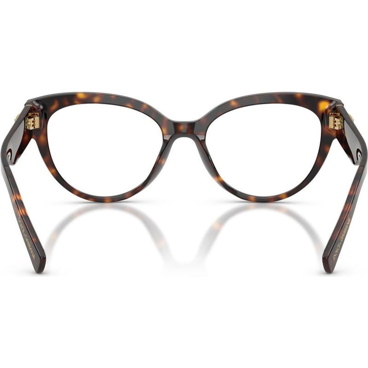 DG3440, Havana/Clear Lenses 52 Eye Size