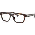 DG3446, Havana/Clear Lenses 53 Eye Size