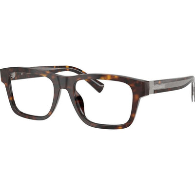 DG3446, Havana/Clear Lenses 53 Eye Size