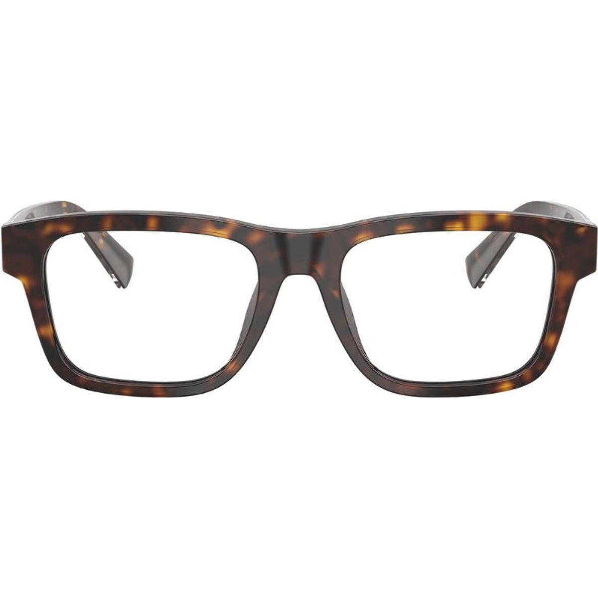 DG3446, Havana/Clear Lenses 53 Eye Size