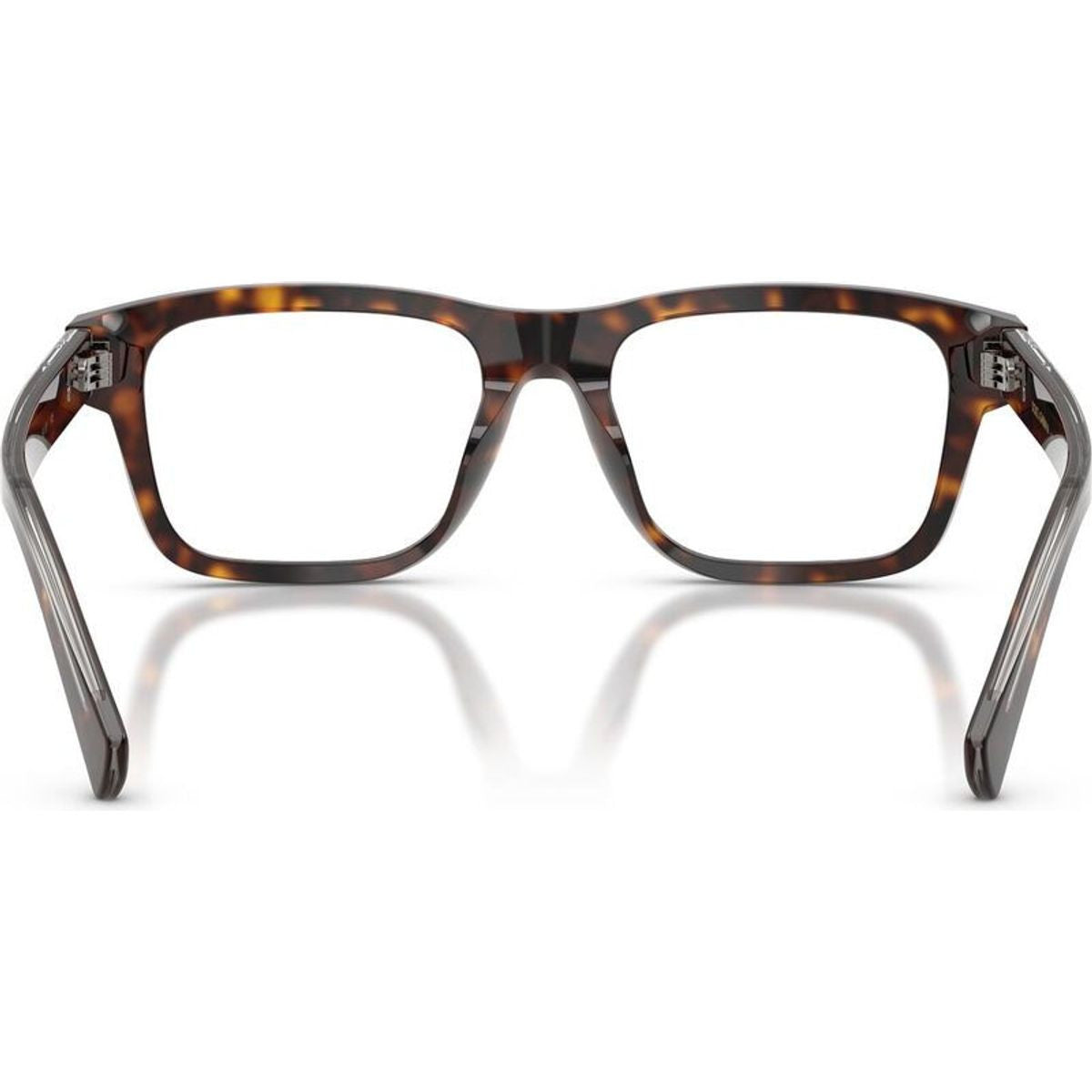 DG3446, Havana/Clear Lenses 53 Eye Size