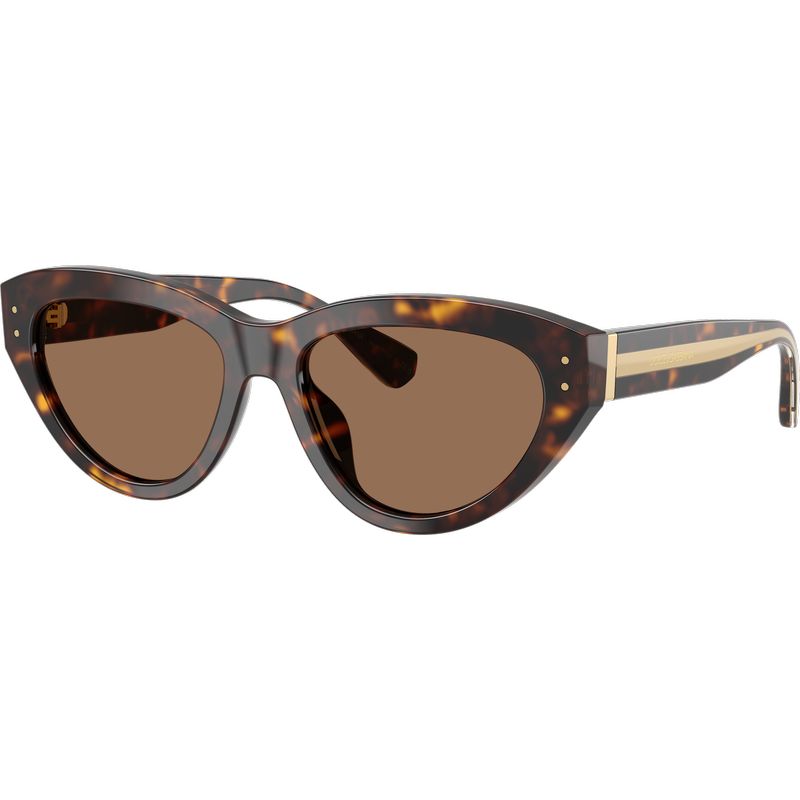 Dolce & Gabbana DG4558 Havana Dark Brown Angle