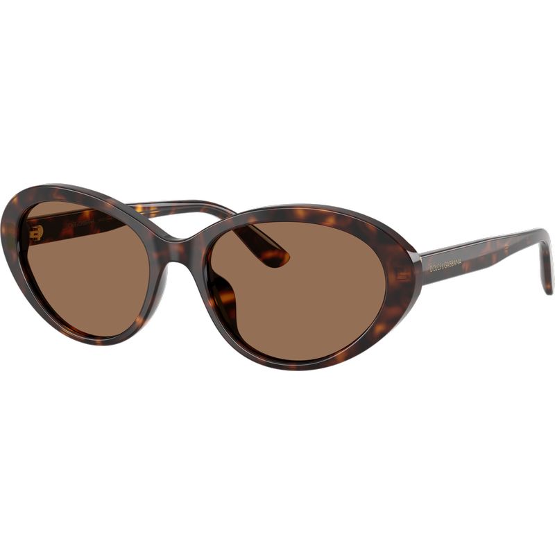 Dolce & Gabbana DG4570 Havana Dark Brown Angle