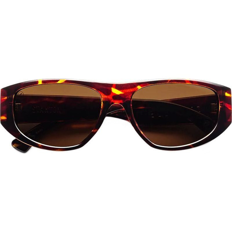 Stanton, Gloss Tort/Bronze Polarised Lenses