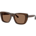 EA4246U, Shiny Transparent Brown/Brown Lenses