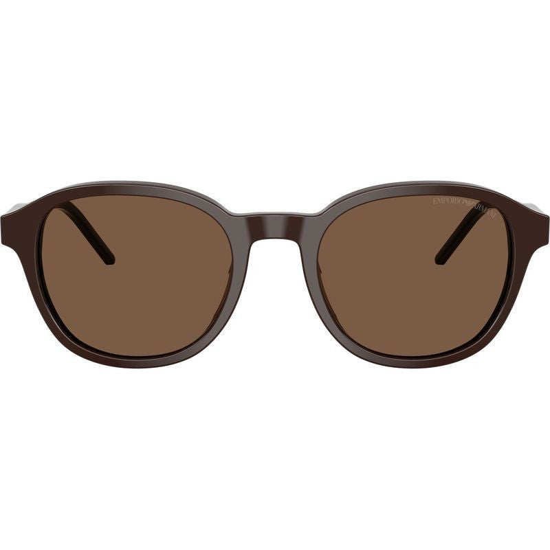 EA4247U, Shiny Brown/Brown Lenses