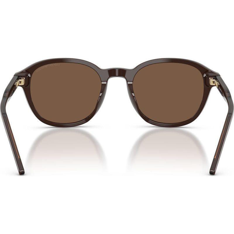 EA4247U, Shiny Brown/Brown Lenses