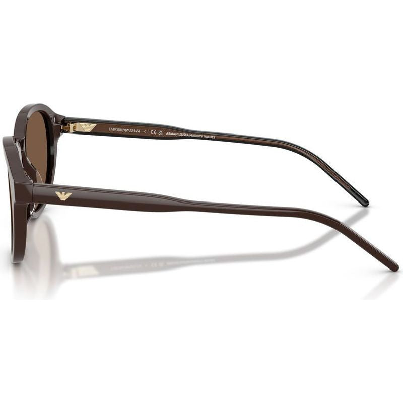 EA4247U, Shiny Brown/Brown Lenses