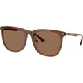 EA4255D, Shiny Transparent Brown/Dark Brown Lenses