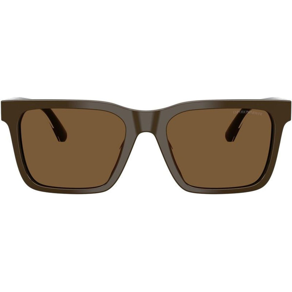 EA4262U, Shiny Brown/Brown Lenses