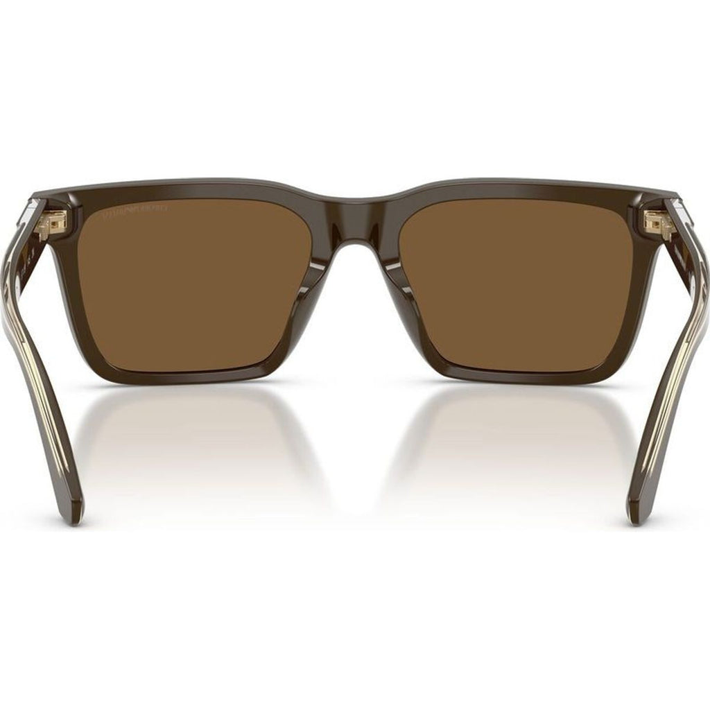 EA4262U, Shiny Brown/Brown Lenses