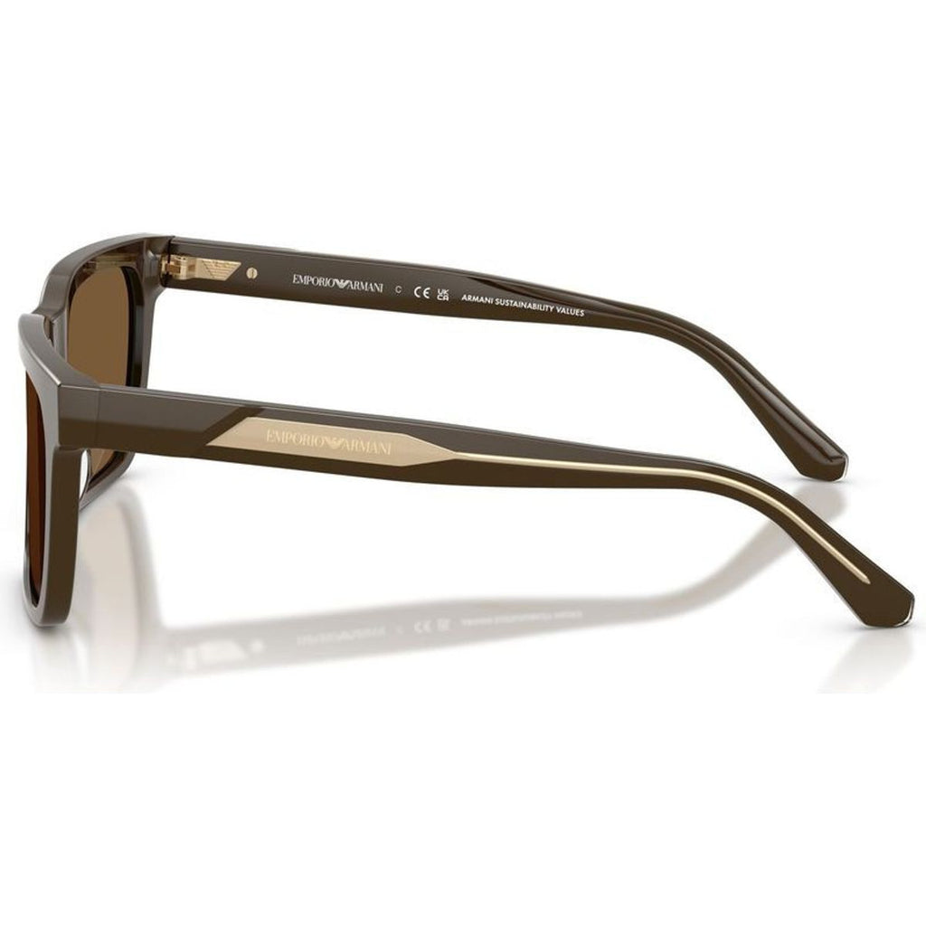 EA4262U, Shiny Brown/Brown Lenses