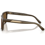 EA4262U, Shiny Brown/Brown Lenses