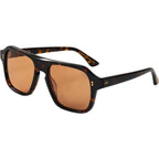Pano, Polished Dark Tortoise/Brown Lenses