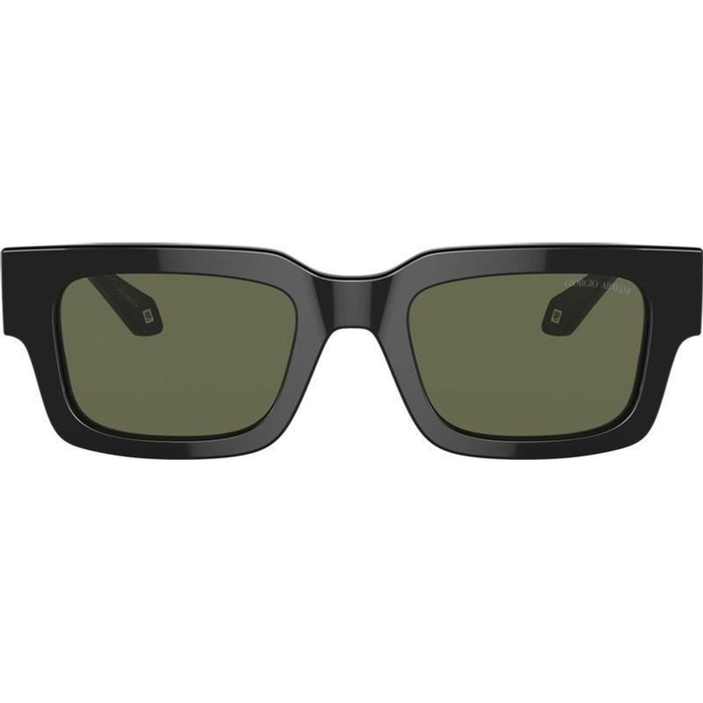 AR8184U, Black/Green Polarised Glass Lenses