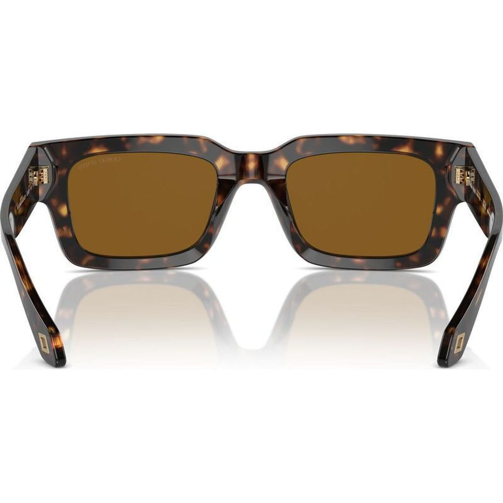 AR8184U, Havana/Brown Glass Lenses