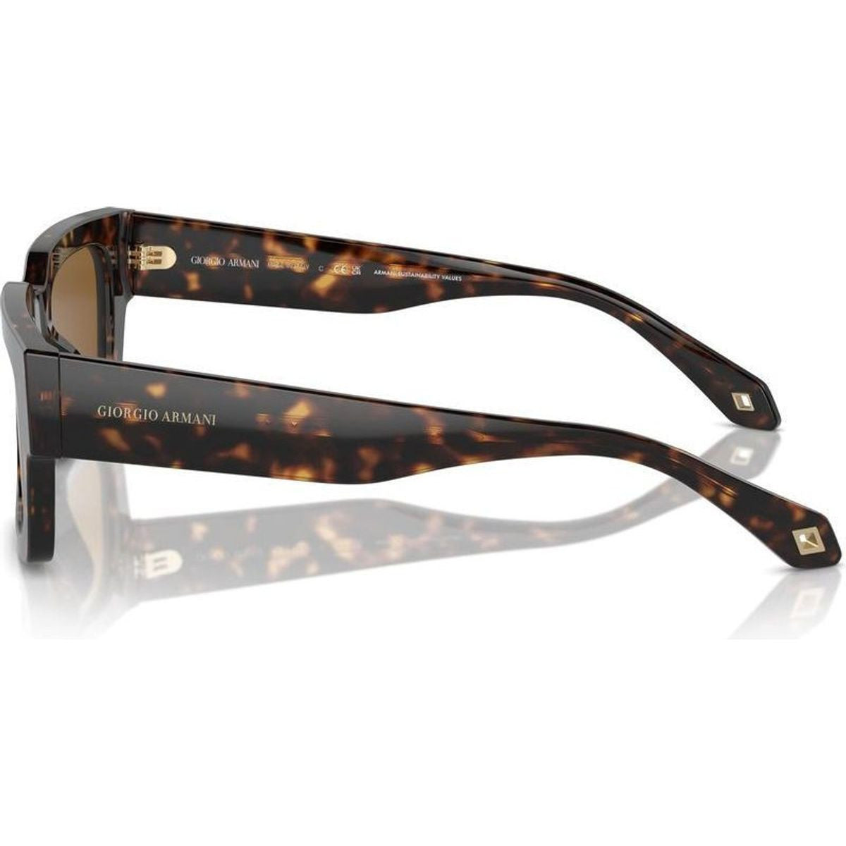 AR8184U, Havana/Brown Glass Lenses