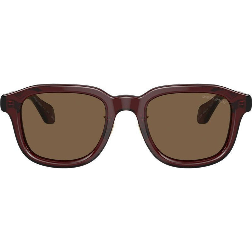 AR8206, Transparent Brown/Dark Brown Lenses