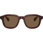 AR8206, Transparent Brown/Dark Brown Lenses