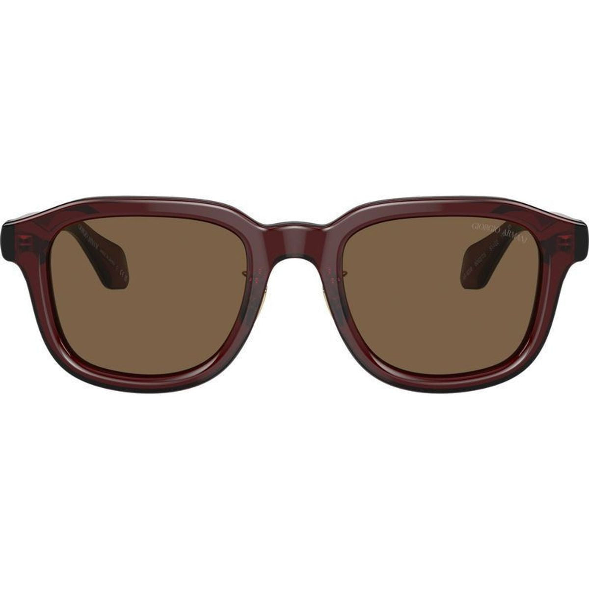 AR8206, Transparent Brown/Dark Brown Lenses