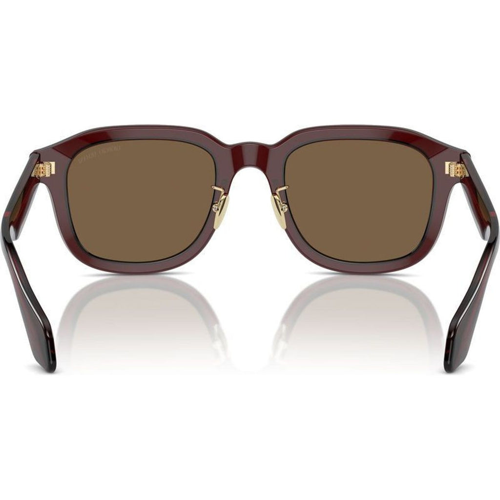 AR8206, Transparent Brown/Dark Brown Lenses