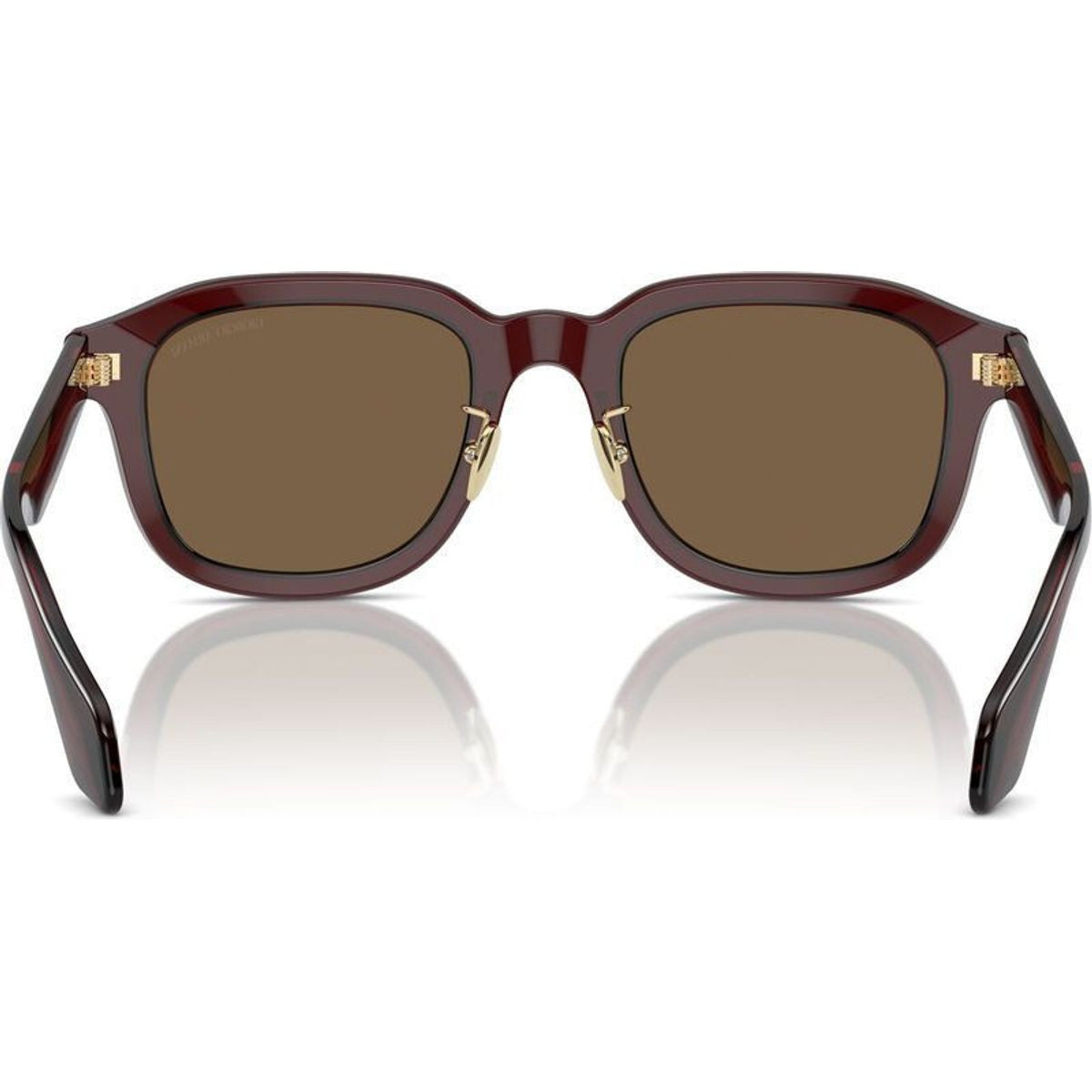 AR8206, Transparent Brown/Dark Brown Lenses